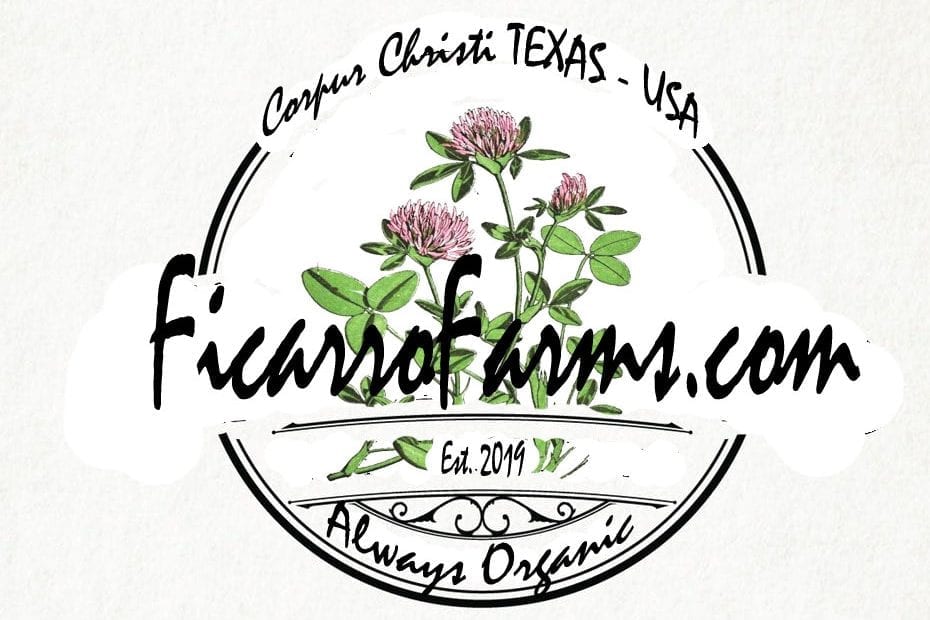 FicarroFarms Logo